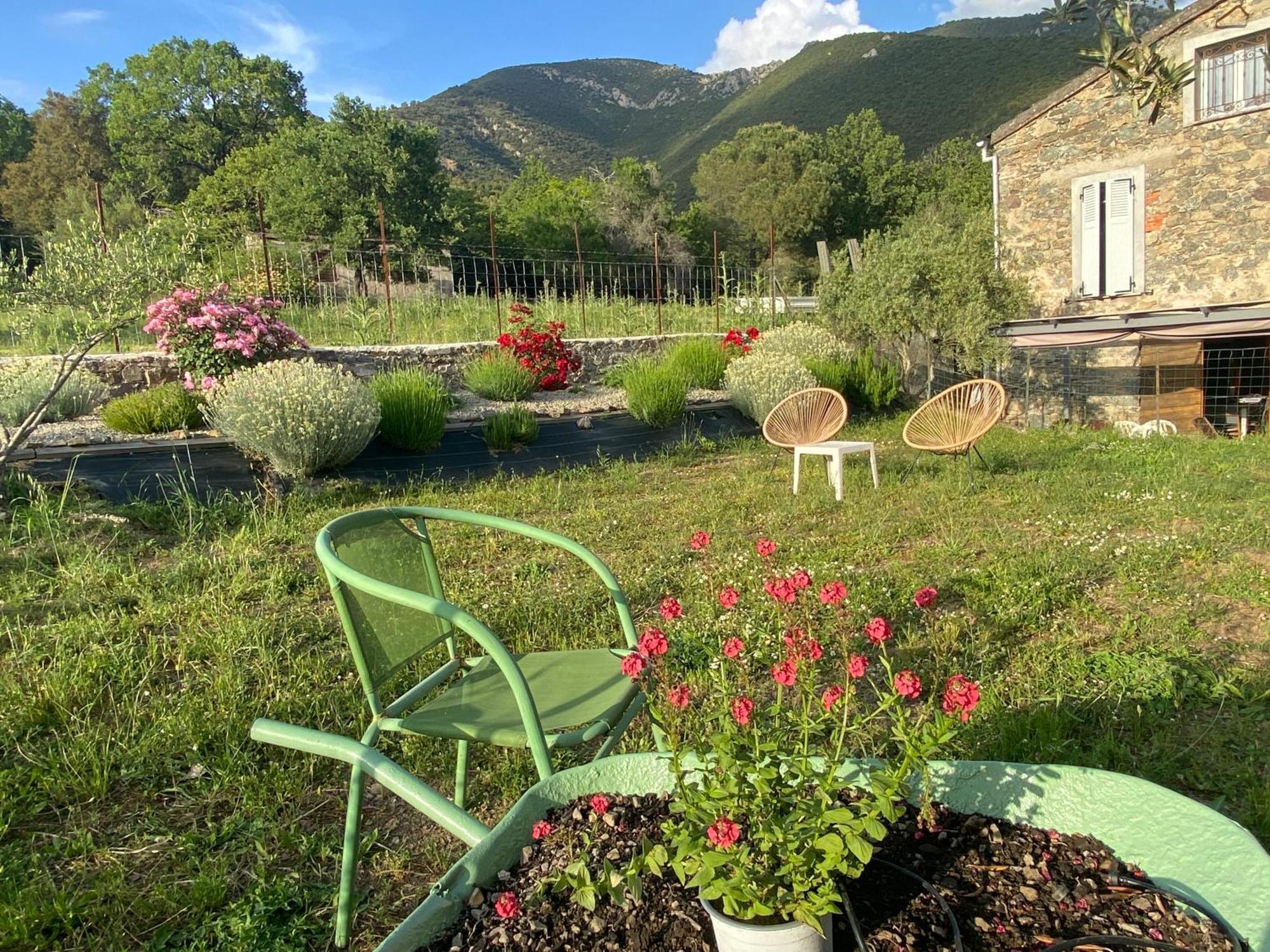 Casa Orani Villa Ponte-Leccia Exterior photo